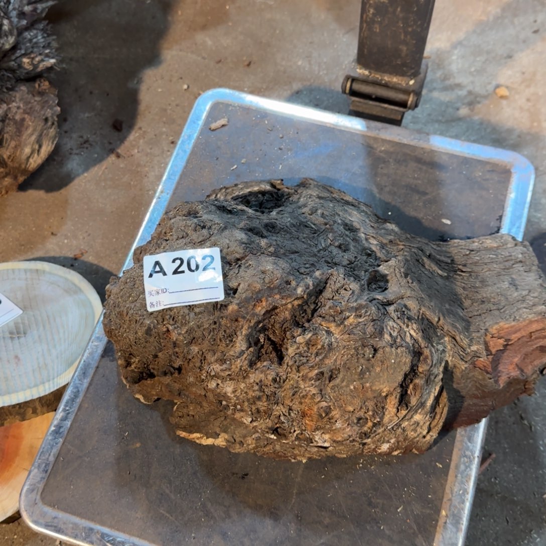 博***范花梨木类花梨木202