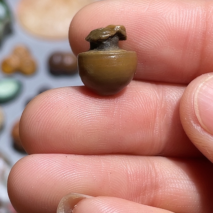 大叶紫檀（黑酸枝木类）