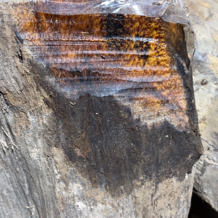 清***在贡木把件感谢大家