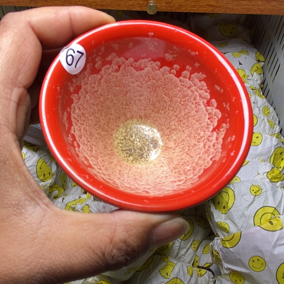 茶盏建盏喝茶主人杯茶杯