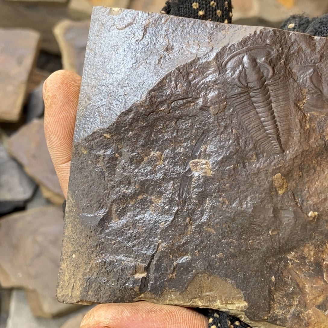 a***2石材111111111111111