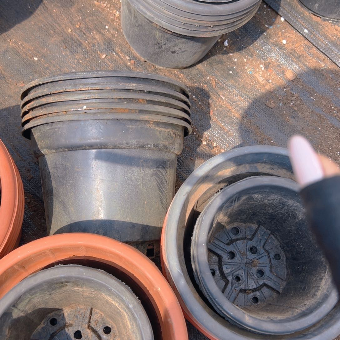 红陶黑圆盆25口径19高 5个