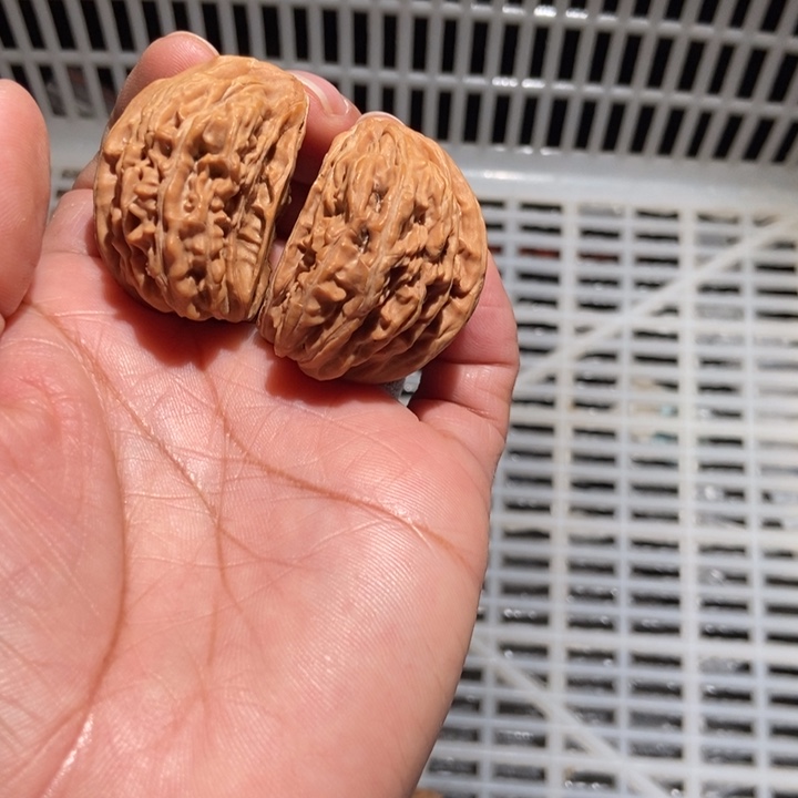 合***实核桃四座楼合体56尺寸