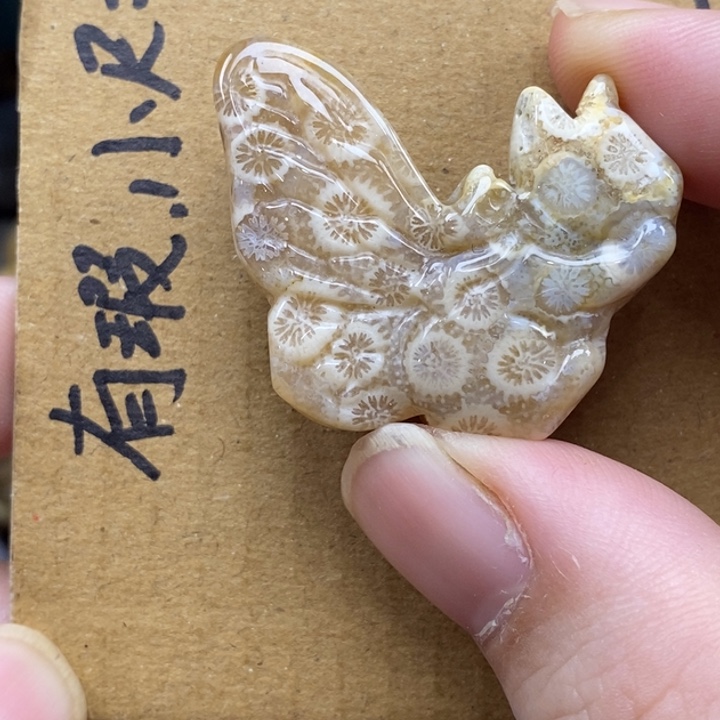 硅化珊瑚（珊瑚玉）未镶嵌颈饰