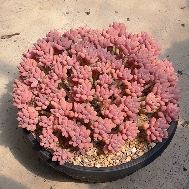 三***三三三99999999999999