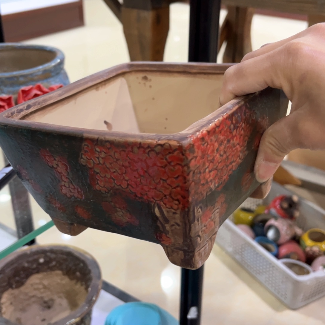 红陶福利福利福利福利