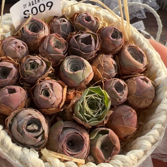 三碗009 多品种花篮