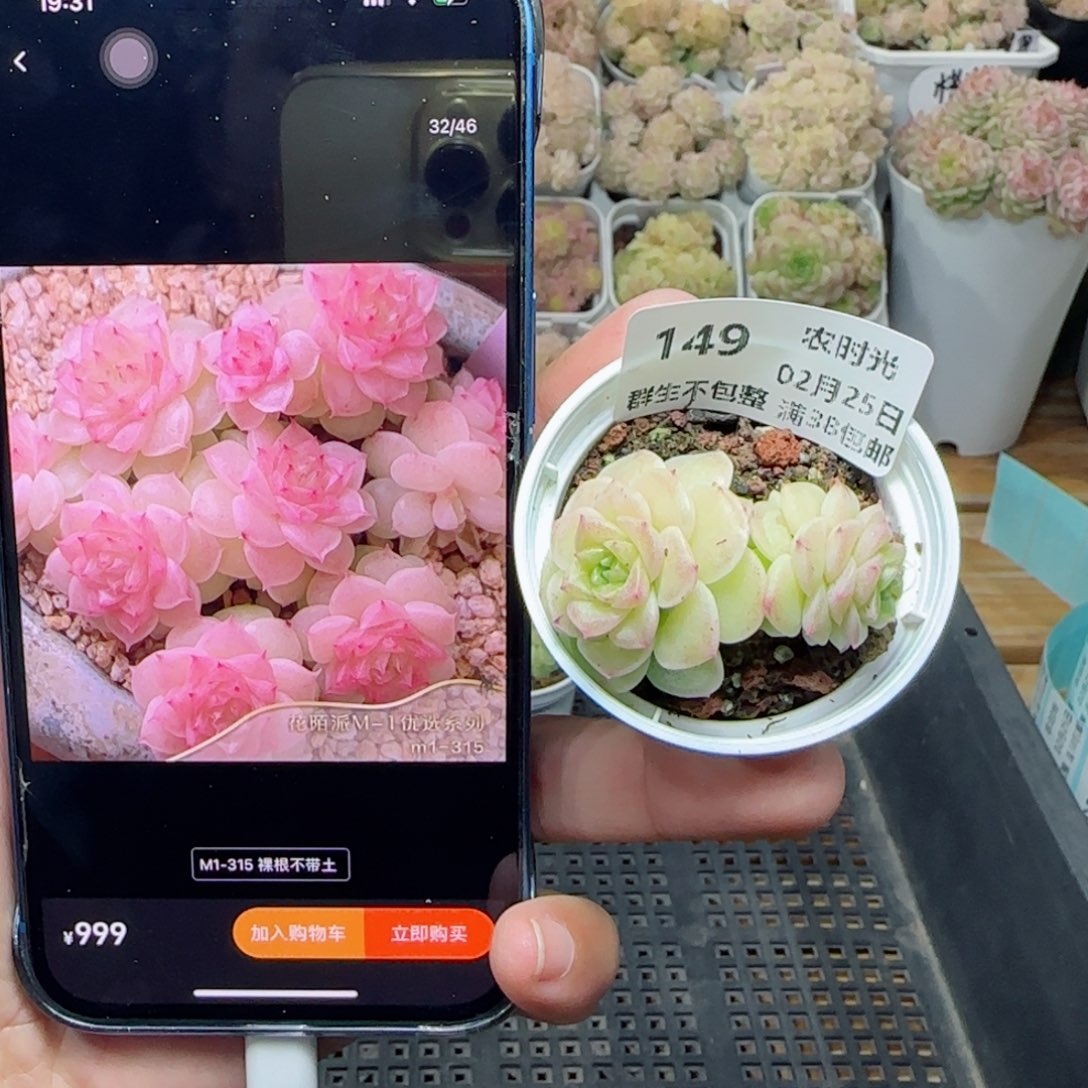 【闪购商品】0225-149（m1-315）