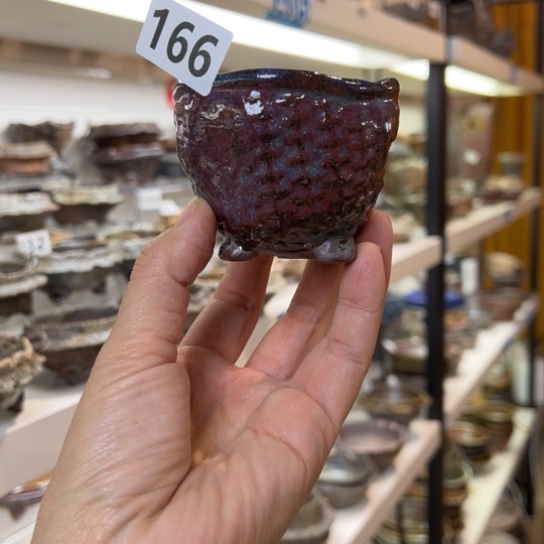 红陶7x4.7/166/////