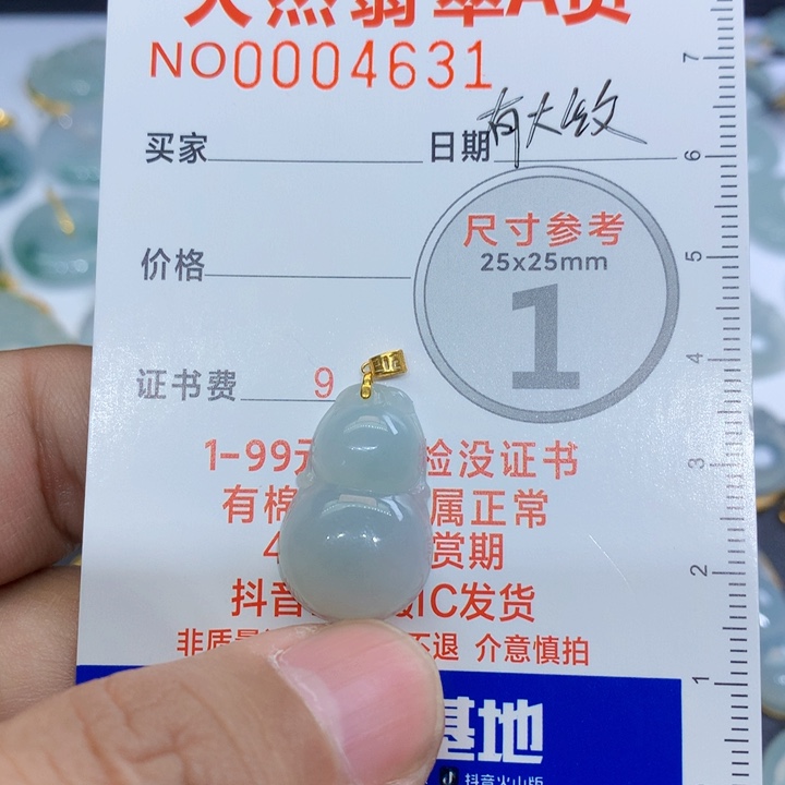 翡翠颈饰未镶嵌吊坠