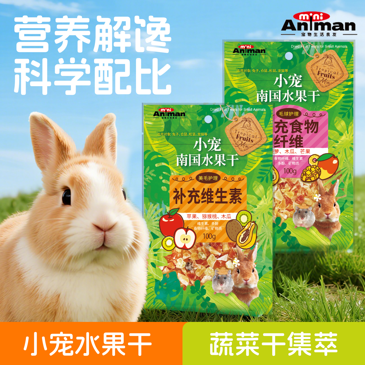 日本Animan爱妮漫小宠仓鼠兔子零食南国水果干