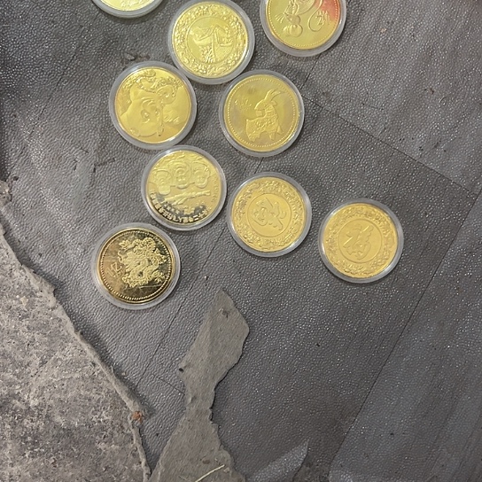 走***景杂色豆（科檀/科特迪瓦檀木）