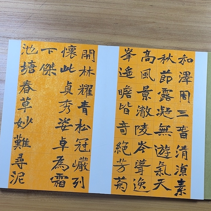 书法中书协会员作品