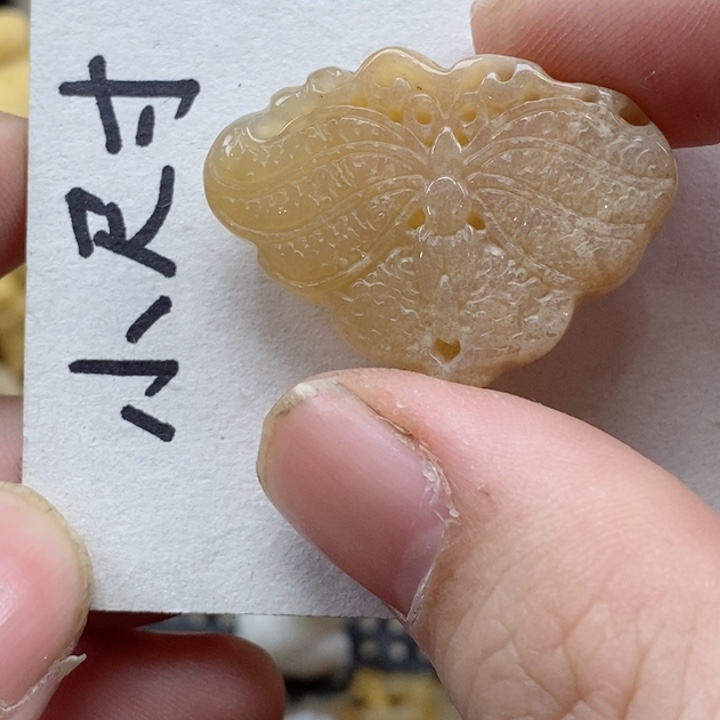 颈饰未镶嵌硅化珊瑚（珊瑚玉）