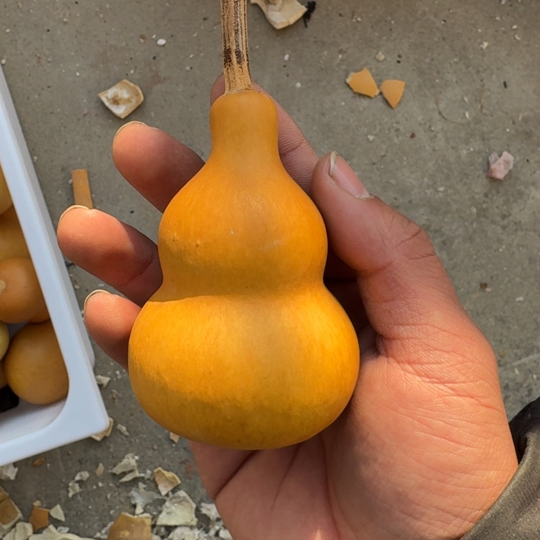 不****好了就给您说下哦你说