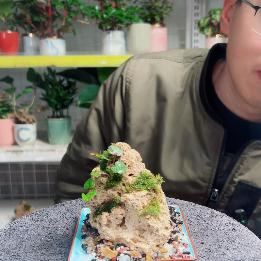 九***景无花朵37                 