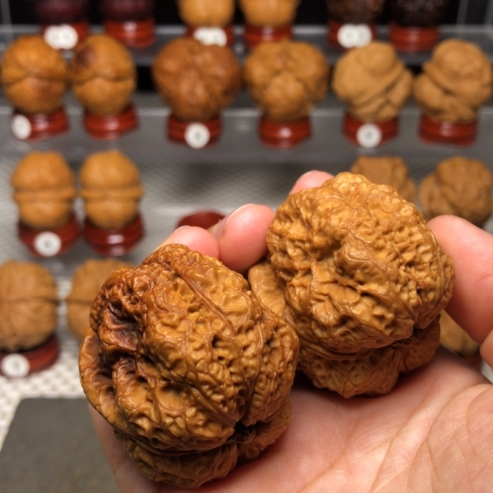 向***看把件文玩核桃101九五帝皇蟾