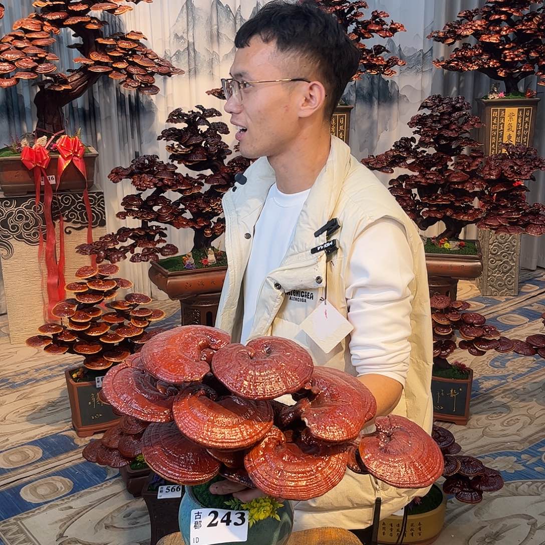 嚎****无花朵8888888888