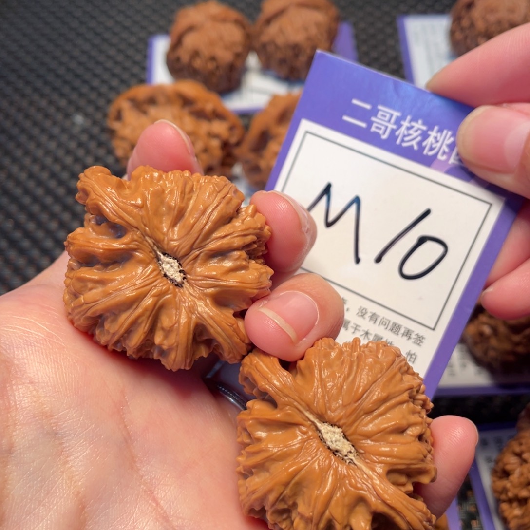 把件桃核M10号白狮子44