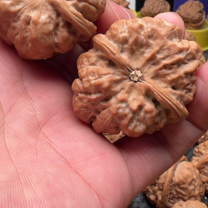 雪****核桃文玩核桃文玩核桃