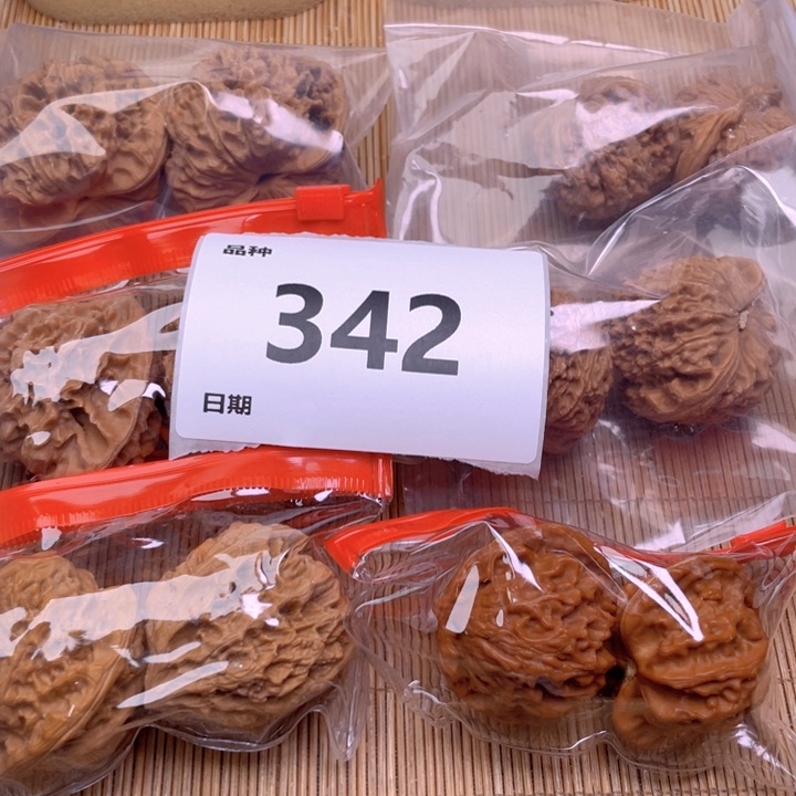 文玩核桃把件342号6对