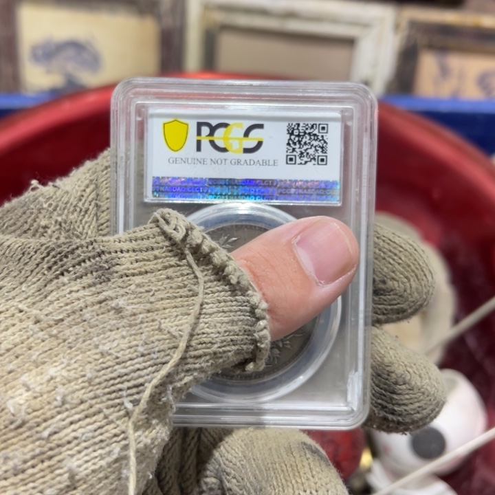 沙***鱼羽毛我也不知道我在想