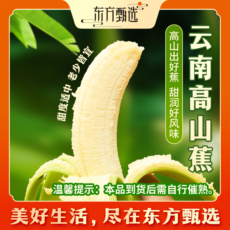 东方甄选自营云南高山香蕉香甜软糯应季新鲜水果时令生鲜坏果包赔