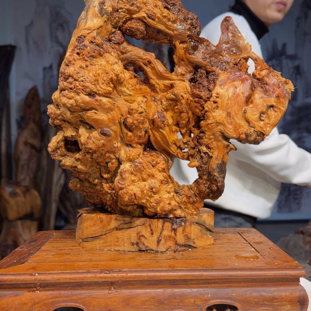 㝡***乂木三丰琥珀木 天然摆件69