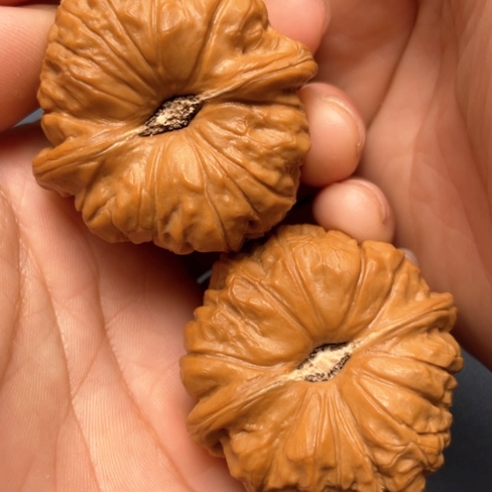 文玩核桃把件方*43➕南瓜墩