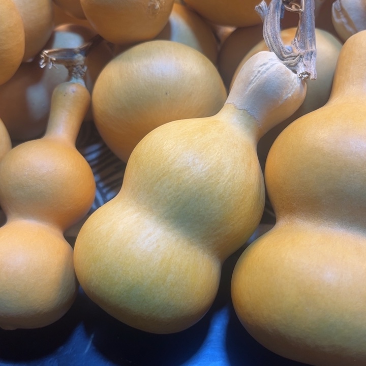 葫芦葫芦葫芦葫芦