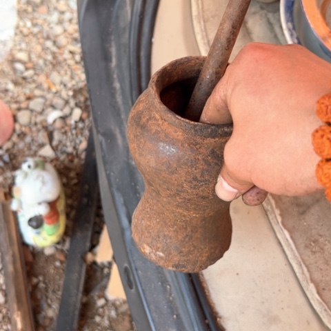 核桃木/黑胡桃（胡桃木）圣***险