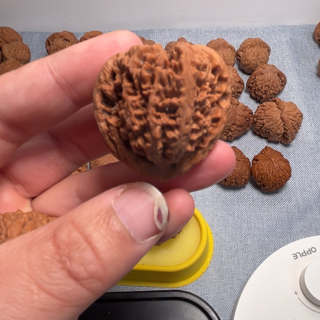 孟***饱核桃核桃核桃核桃