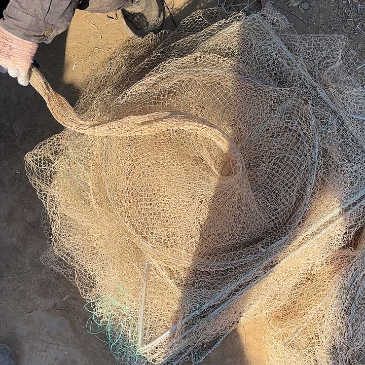 纯***露鱼笼111111445111525