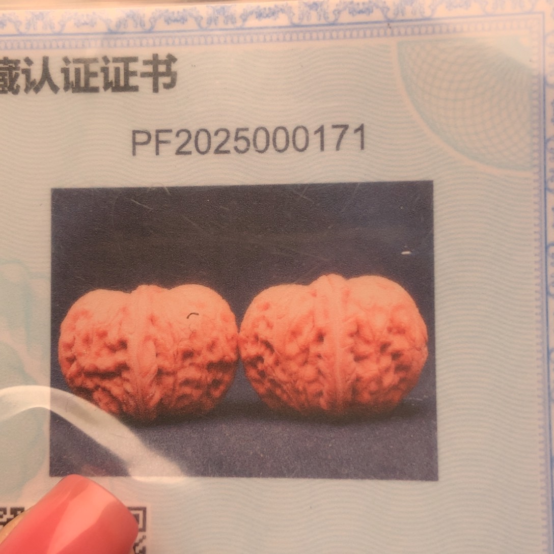 文玩核桃把件44元宝