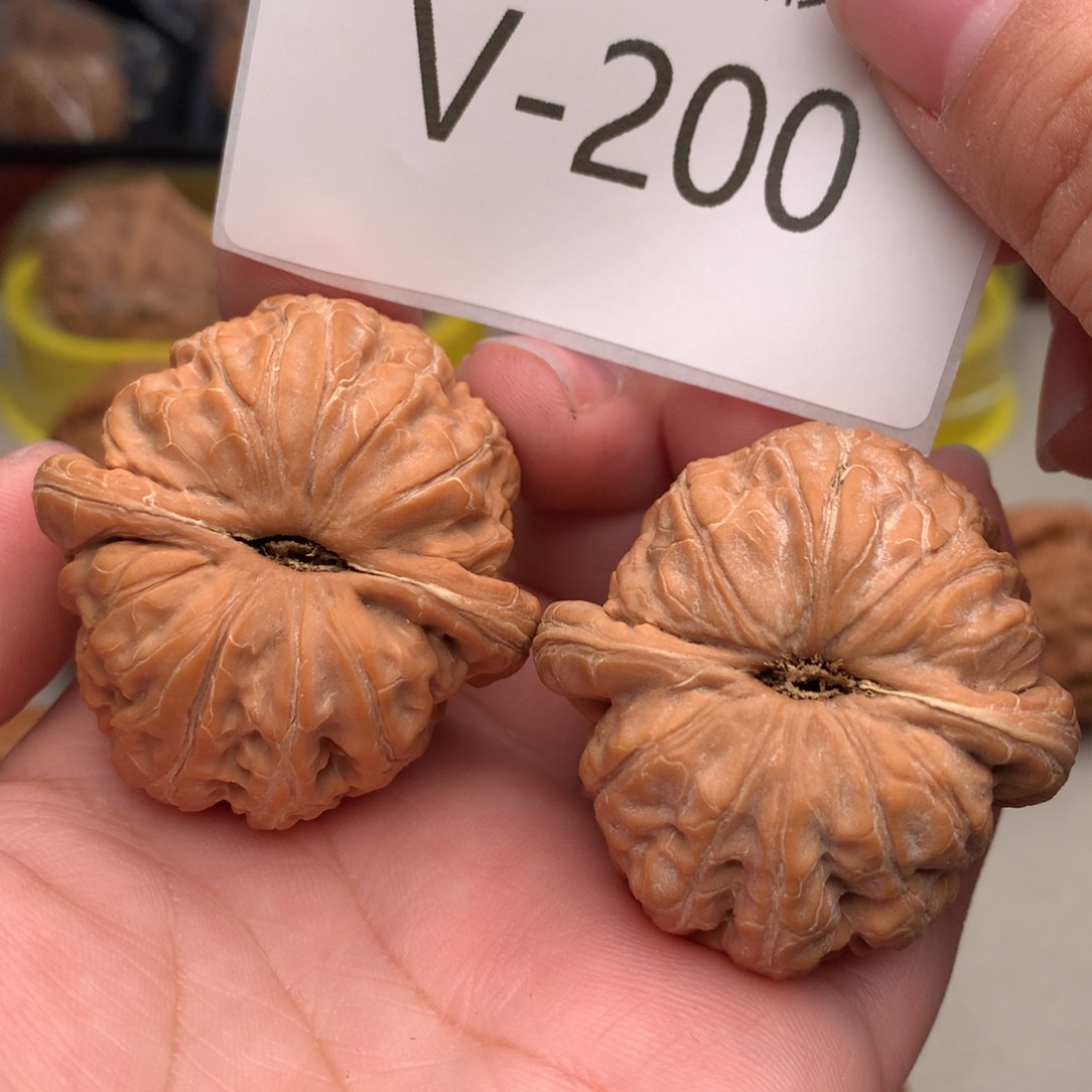 文玩核桃把件43元宝………….