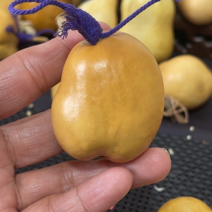 酒***子葫芦葫哈哈哈哈哈哈哈哈