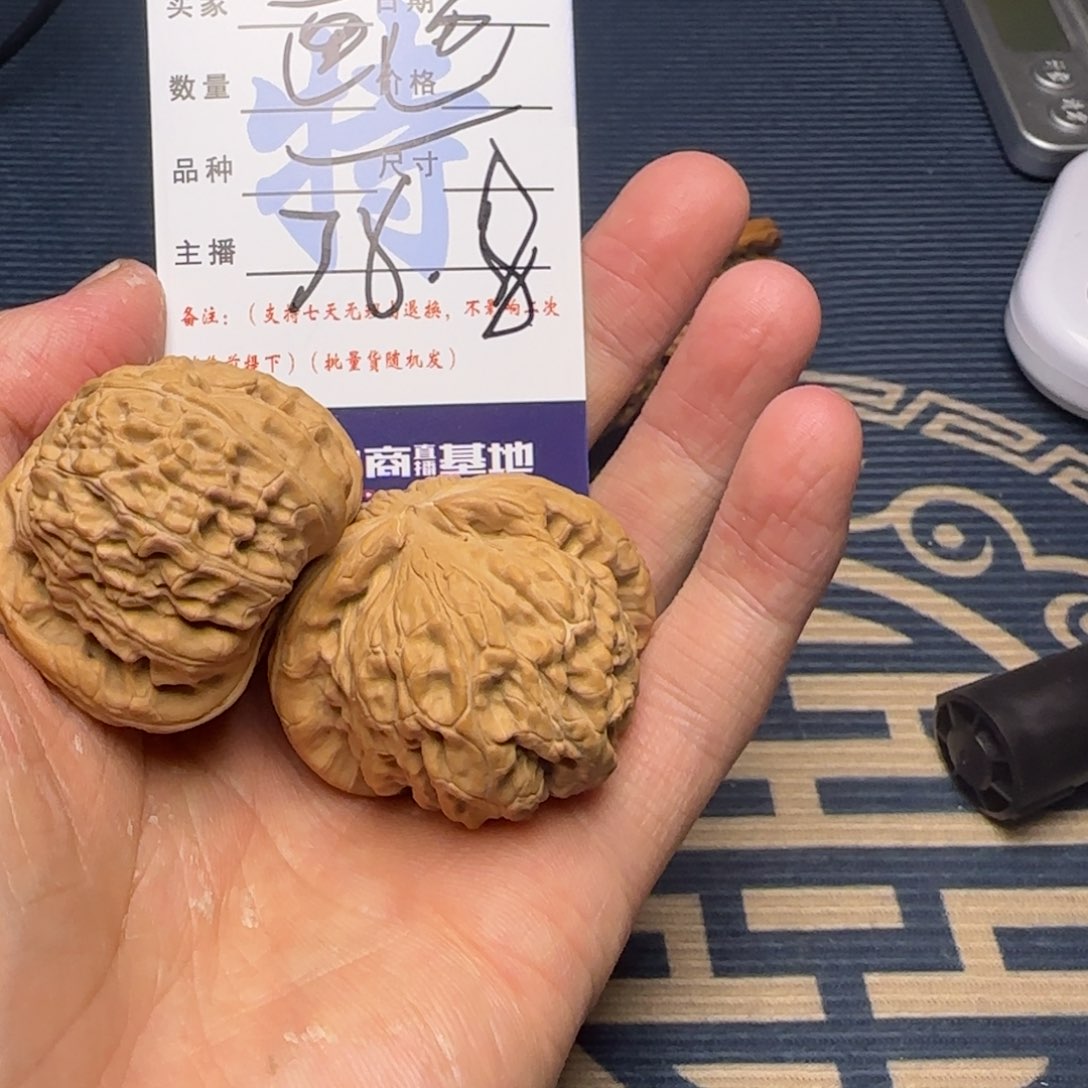 画***贝白狮子的故事是