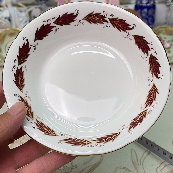 碟维多利亚欧洲中古