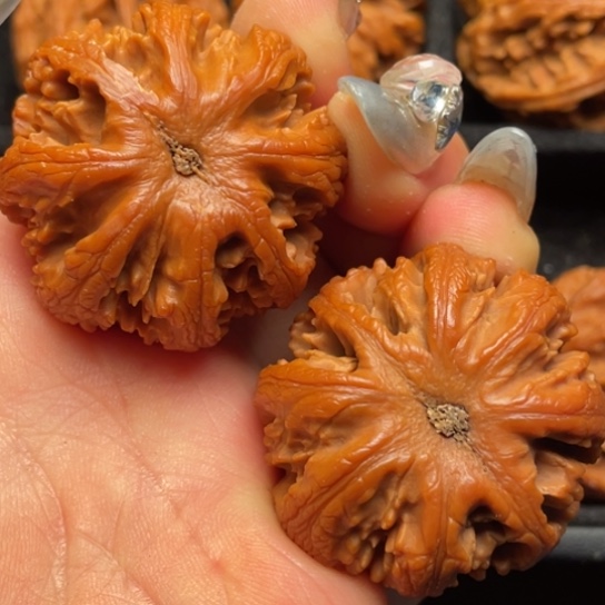 文玩核桃吊坠秦岭山脉核桃