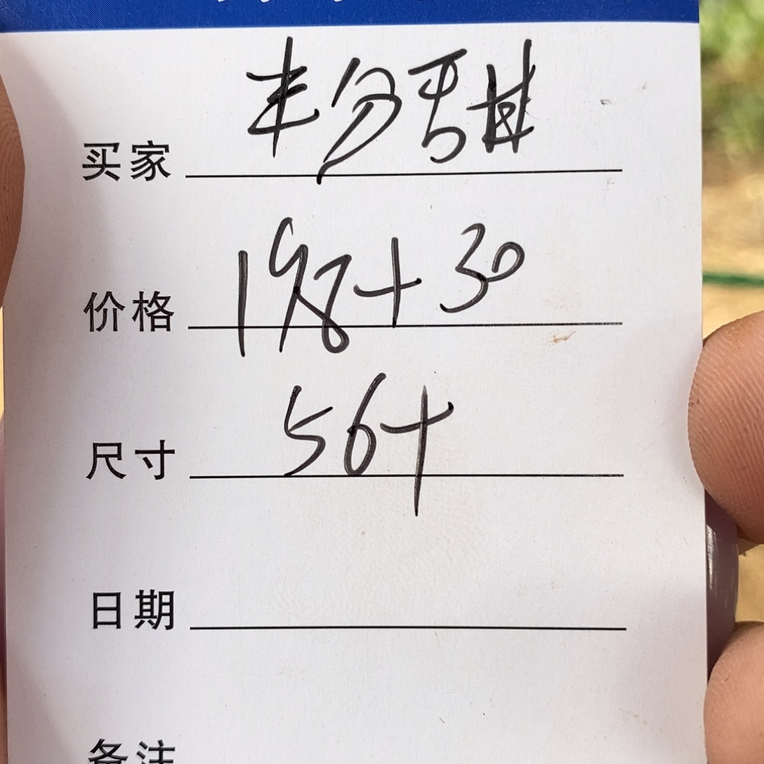 半***甜非金属所见皆所得
