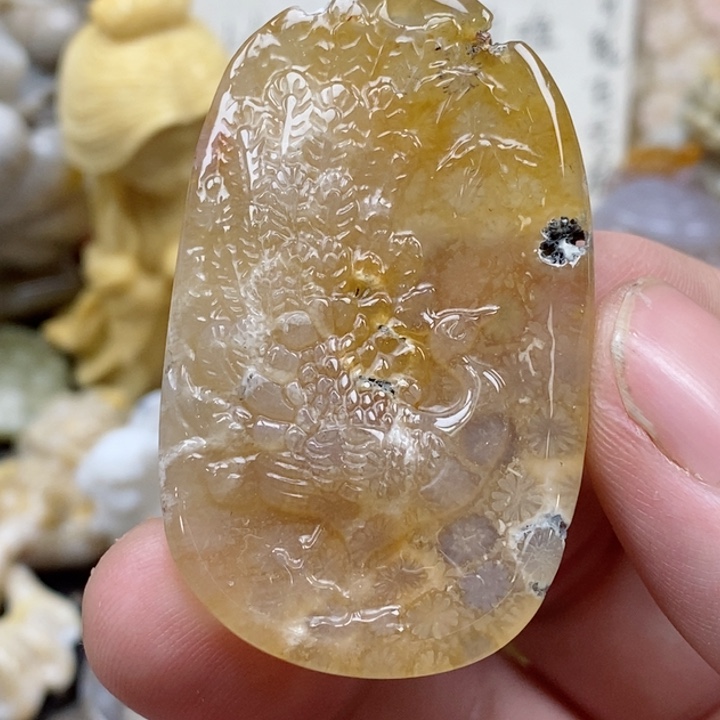 颈饰未镶嵌硅化珊瑚（珊瑚玉）有瑕 小