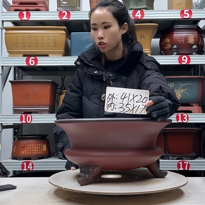 紫砂花盆紫砂花盆