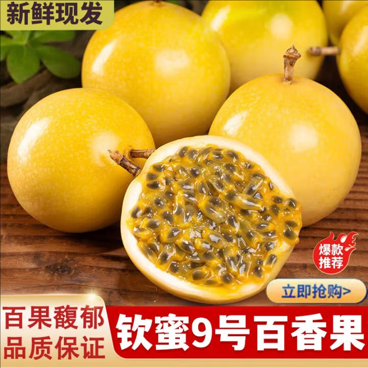 T广西钦蜜9号黄金百香果鲜甜饱满多汁当季水果坏果包赔
