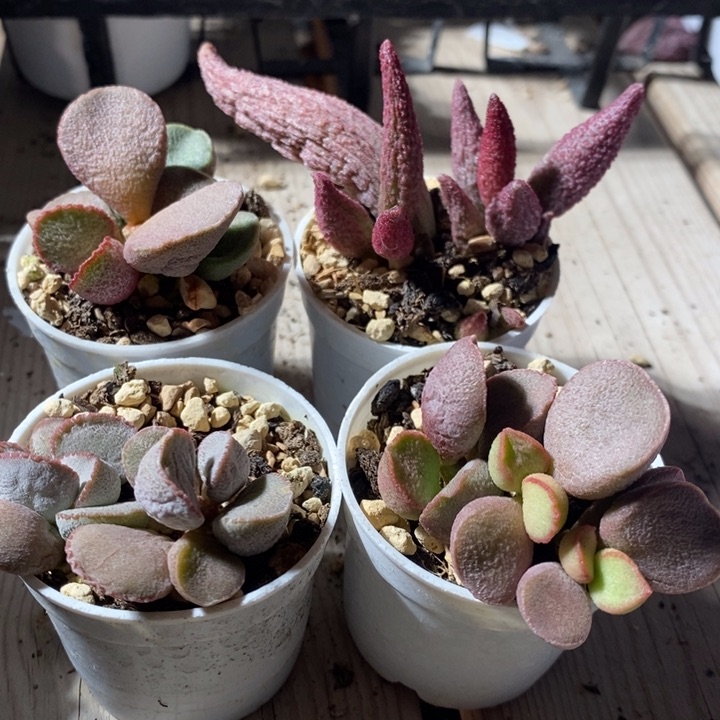 27266一组一组一组