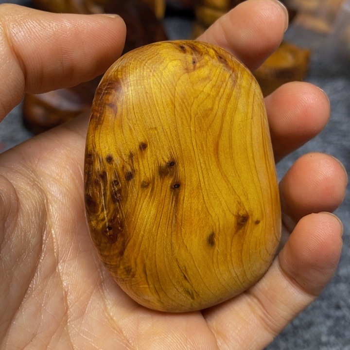 柏木（崖柏）崖柏156