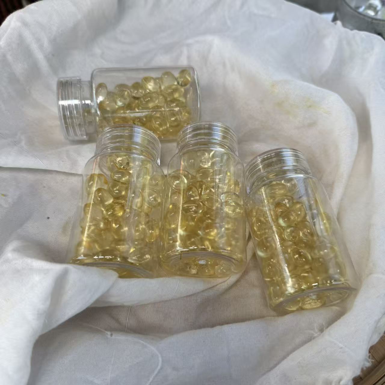 正宗 灵  芝  孢  子  油 可即食