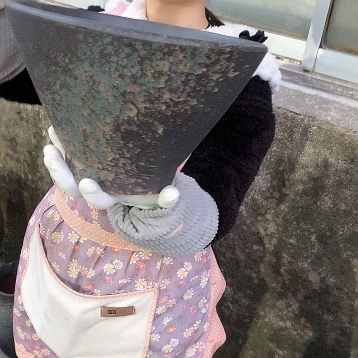 紫砂花盆正品口28高18