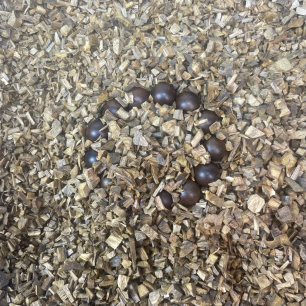 沉香沉香沉香文玩85