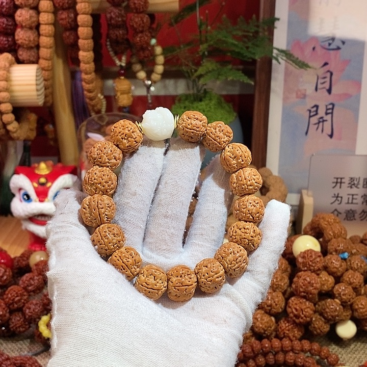 金刚菩提手串155原籽单圈醒狮1