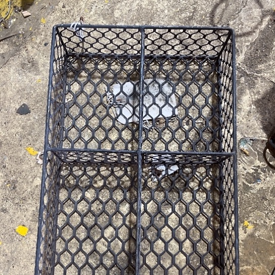 哈哈我也是很喜欢的呢